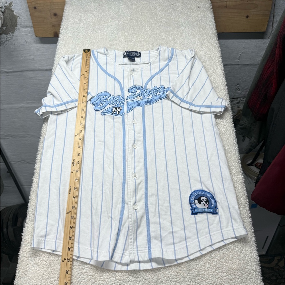 Big Dogs White and Blue Striped Jersey, button up jersey, size medium